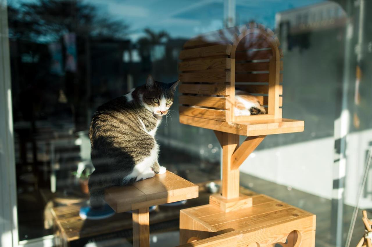 Hello Make Yourself At Home Kenting Extérieur photo